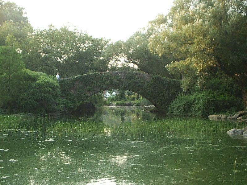 Bridge Over a Lake