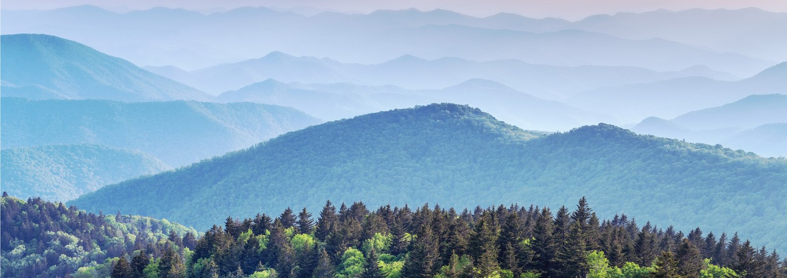 Mountain Ranges - Lifehorns banner